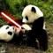 Panda Blue