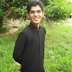 Mohsin Raza