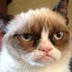 Михаил Притыкин