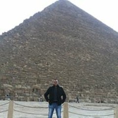 Mohamed Ghareeb