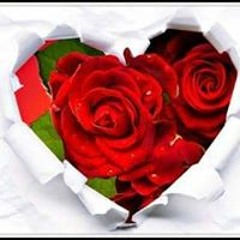gemy+reham