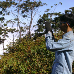 syair