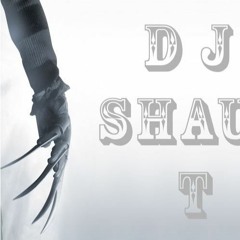 Deejay-Shaun-T-Sets-2011