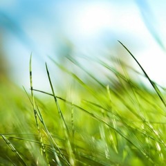 قراءة صوتية لمتن منظومة القواعد الفقهية - للشيخ السعدي رحمه الله