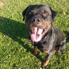 ÞhÍlìþ ĦįĝŠǒń