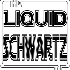 The Liquid Schwartz DJ