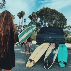 palmtrees