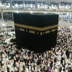 Hala Ghoneem
