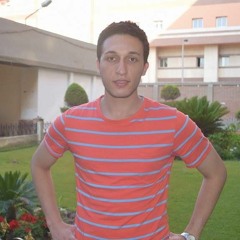 Moamen Eltokhy