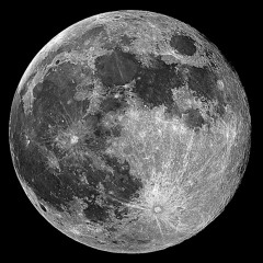 Rachel Bowman (Wolvkey)