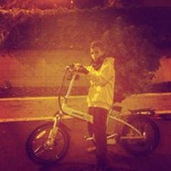 טראנסים