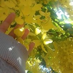Nếu Anh Đi - Mỹ Tâm.mp3