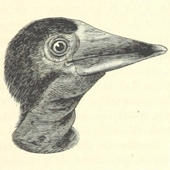 Technu