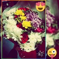 Mena Gabr
