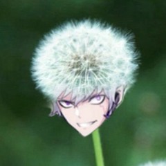PuffinPerMuffin [moved]