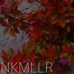 NKMLLR