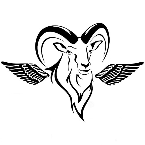 As The Goat Flies’s avatar
