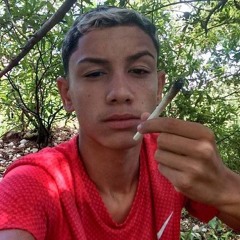 Ntzinn Macedo