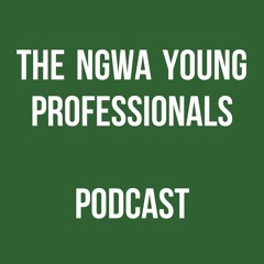 Ngwa Young Professionals