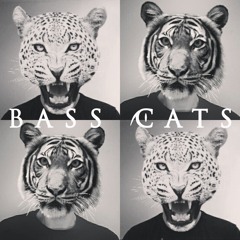 BASS CATS 🐱