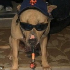 Pipedogg(Bracket records)