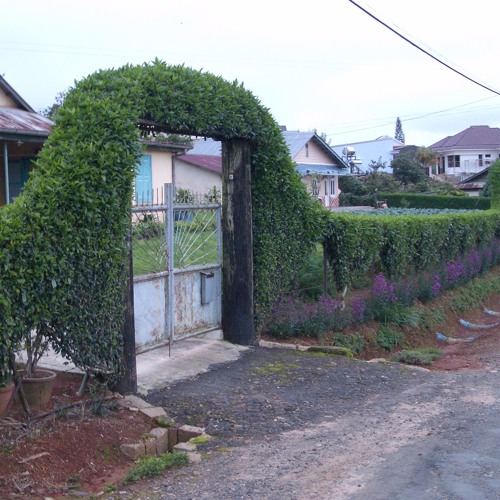 Nối Vòng Tay Lớn (Khánh Ly Trước 1975)