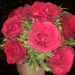 Shimaa Ahmed
