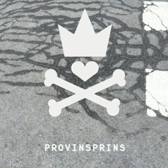 Provinsprins