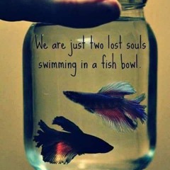 leeann_the_phunky_munky