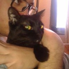 𝐆𝐚𝐛𝐫𝐢𝐞𝐥