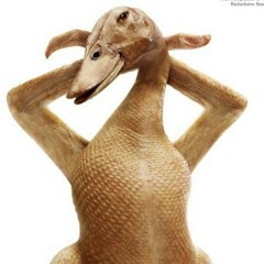 Chick :3