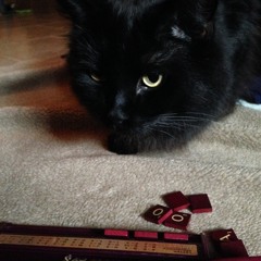 The Louis Family Singers