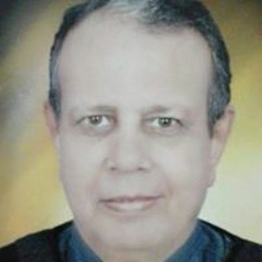 Meme Raafat