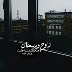 هدير الحسني