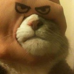 Александр Маркус