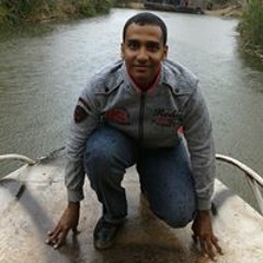 سيد مصطفى