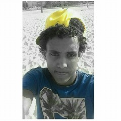 Reda Aswany