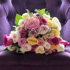 user323640089