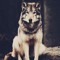 Aly_Noa119