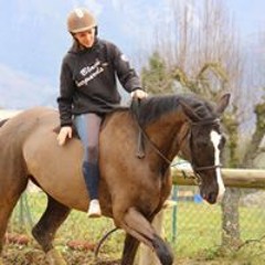 Elvina Dnl