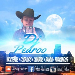 Deejay Pedroo (PNCS)