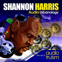 DJ Shannon Harris