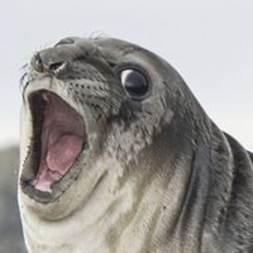 Undertale - Fallen Down (Reprise) - Piano