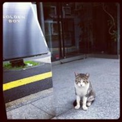 佐藤淳一