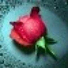 nassim samma