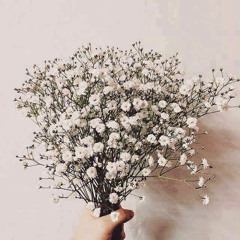 신사 ($insa) _Zion.T, 씨잼 (C Jamm), 레디 (Reddy), 서출구 .mp3