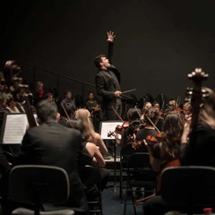 Johannes Brahms, Symphony No.1 in c minor