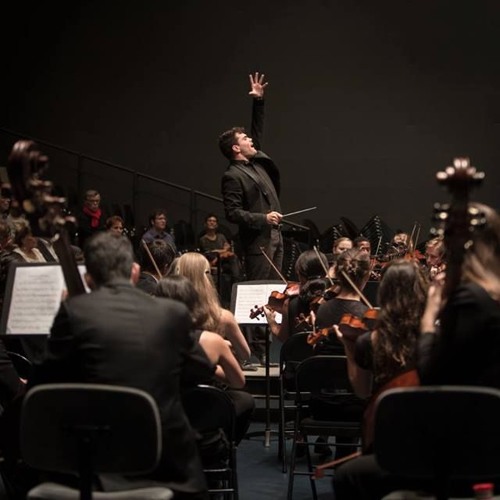 Johannes Brahms, Symphony No.1 in c minor