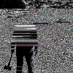VVDXR 2GVT