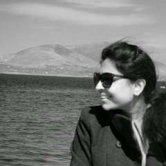 Preeti Mokaria